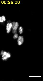 602629_supp_9ACC486A-89EA-11E8-A03F-D8984D662D30