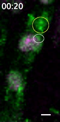 602629_supp_B81A7950-89EA-11E8-80AF-FC984D662D30